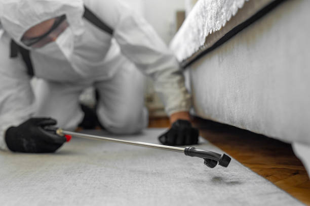 Professional Cockroach Control technician working in Mount Pleasant, WI