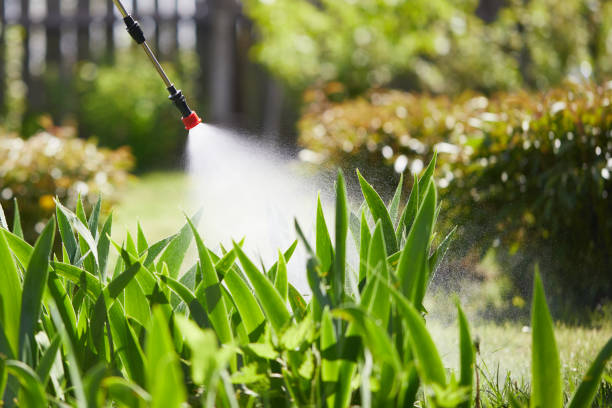 24/7 Emergency Cockroach Control experts in Mount Pleasant, WI